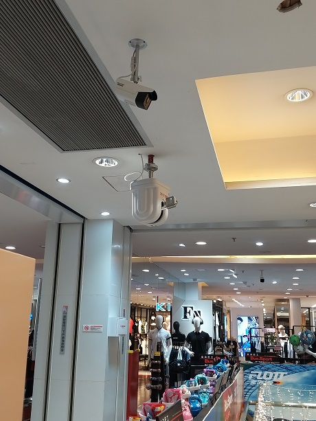 体育app在线登录