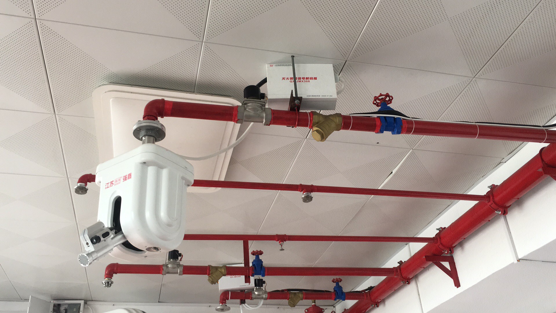 体育app在线登录