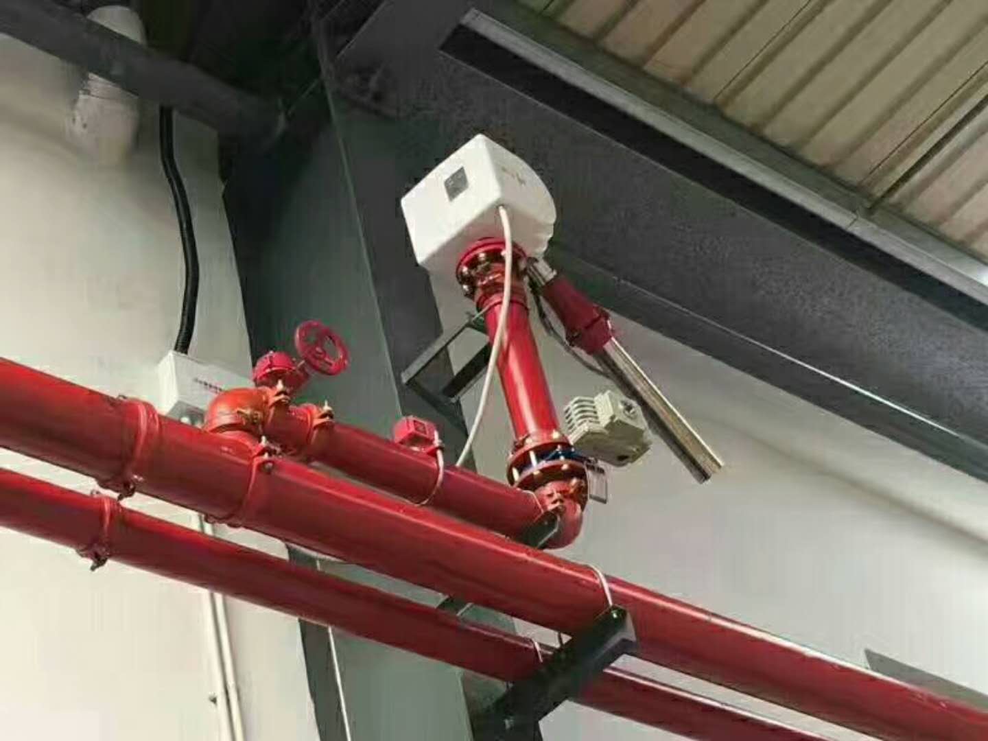 体育app在线登录