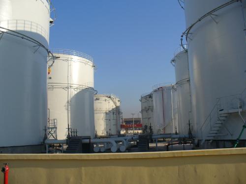 体育app在线登录