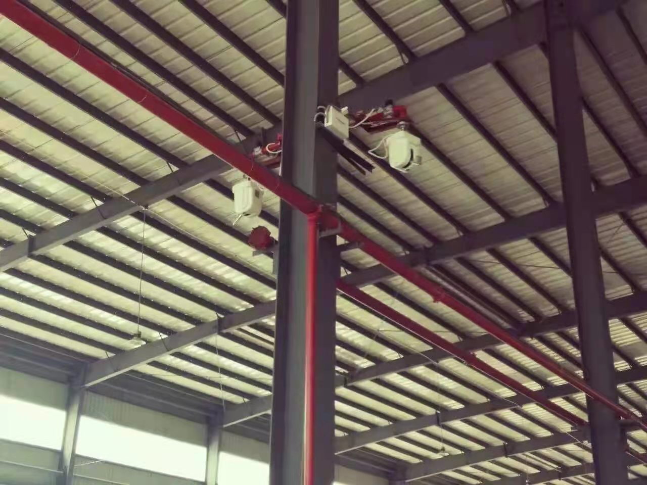 体育app在线登录